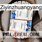 Ziyinzhuangyang kamagra1